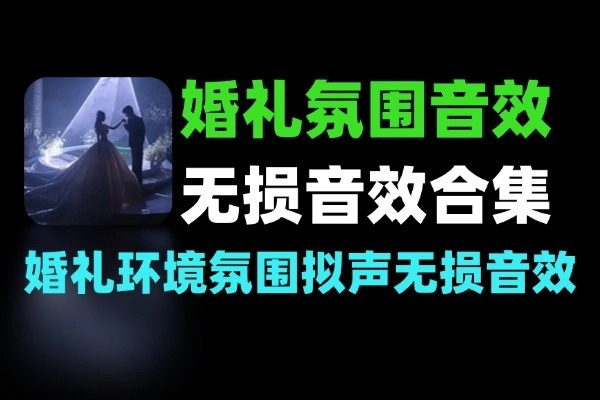 婚礼环境氛围拟声过渡无损音效素材合集