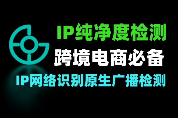 IPv4IPv6 域名查询