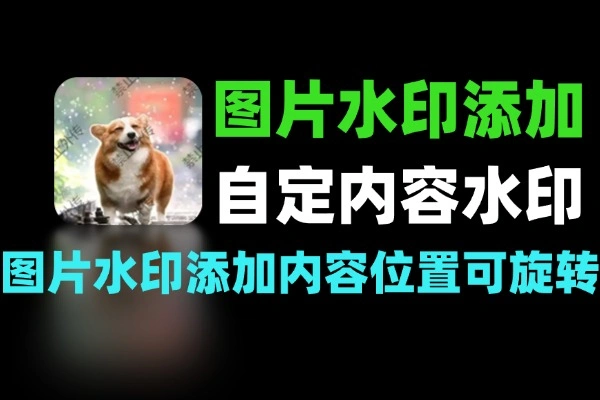 图片水印添加工具可自定义水印内容/位置/可旋转图片