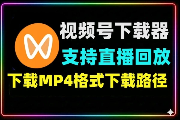 最新版本视频号下载器支持直播回放下载